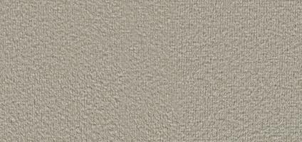 Warm Taupe